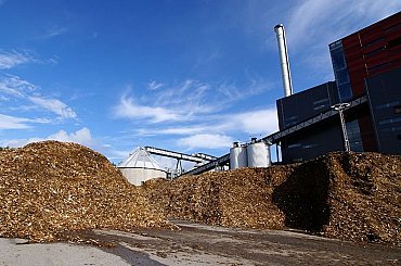 Může biomasa významně pomoci s náhradou uhlí při výrobě elektřiny a tepla po roce 2030?