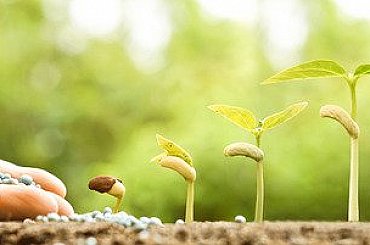 Ministerstvo dál posílá dotace Agrofertu. Podle Šebestyána se zákaz EK na zemědělství nevztahuje