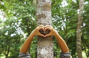 MŽP poskytne na proměnu uhelných brownfieldů v severních Čechách 1,55 mld. Kč